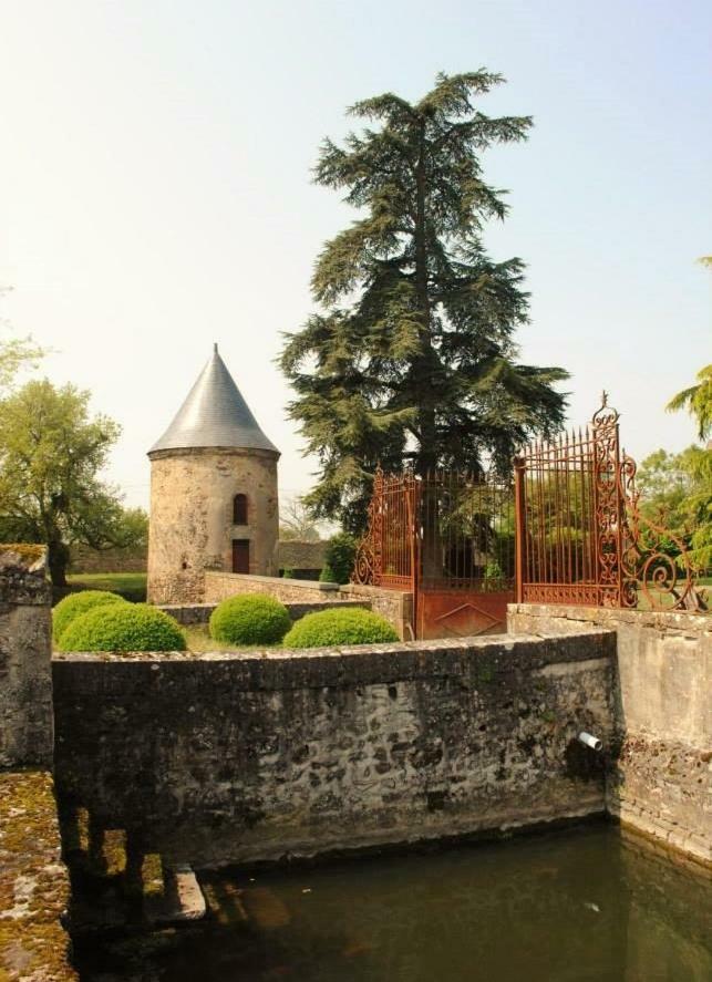 Logis De La Helberdiere Cossé-en-Champagne Екстериор снимка